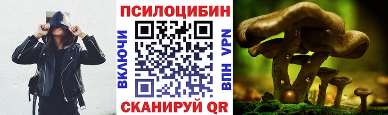 Галлюциногенные грибы Cubensis Челябинск